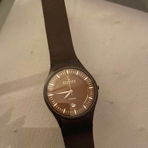 Skagen Denmark watch